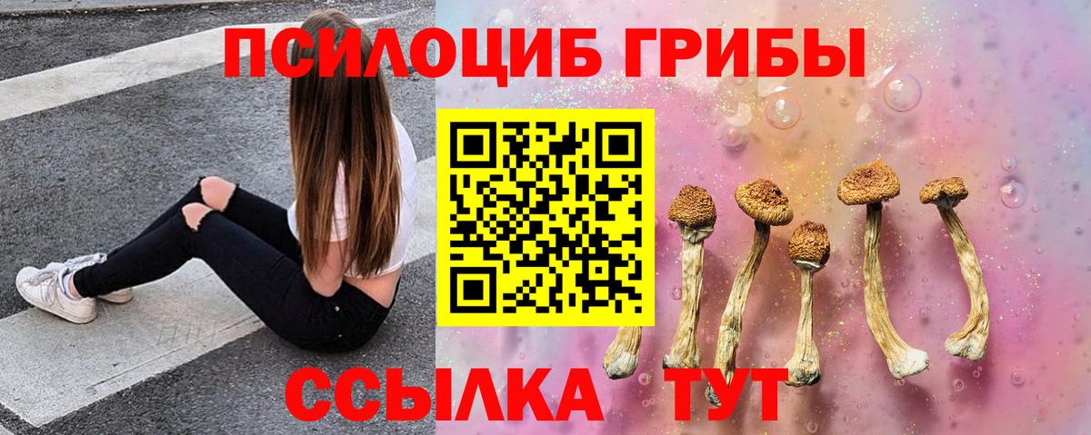 Псилоцибиновые грибы GOLDEN TEACHER Магнитогорск