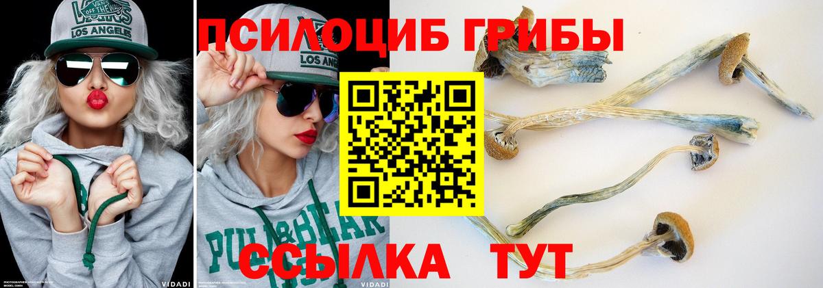 Магнитогорск  где можно купить наркотик  Вход с VPN  Псилоцибиновые грибы мицелий 